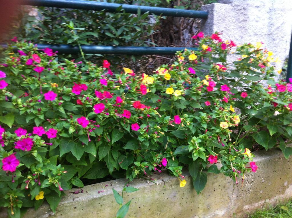 Guesthouse Liska Mostar Luaran gambar